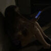 woodskenley2